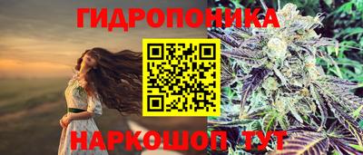 прущие крисы Кингисепп