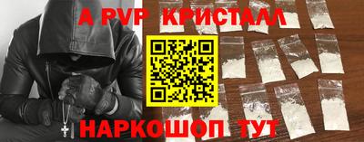 прущие крисы Кингисепп