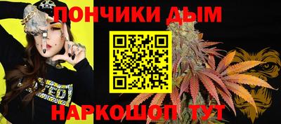 прущие крисы Кингисепп