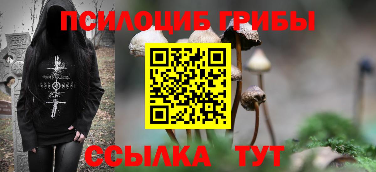 где найти   Псилоцибиновые грибы GOLDEN TEACHER  Троицк  Вход с VPN  Псилоцибиновые грибы мухоморы 