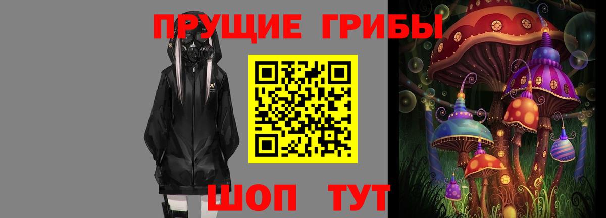 Псилоцибиновые грибы мицелий Троицк